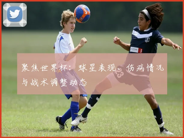聚焦世界杯：球星表现、伤病情况与战术调整动态