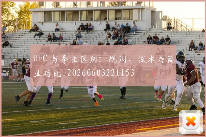 UFC 与拳击区别：规则、技术与商业对比_20260603221153