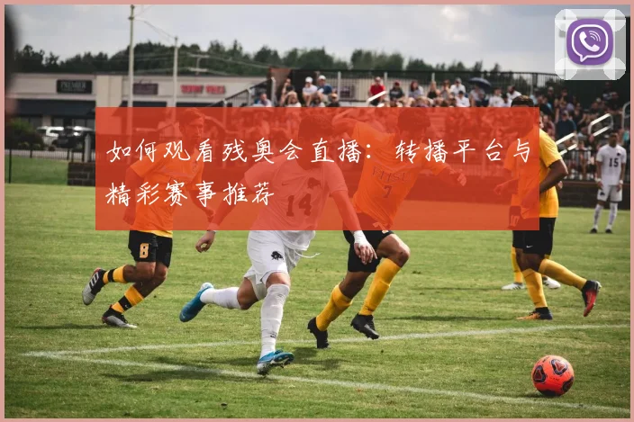 如何观看残奥会直播：转播平台与精彩赛事推荐