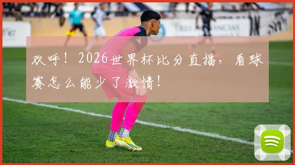 欢呼！2026世界杯比分直播，看球赛怎么能少了激情！